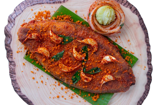 MG_6460__1_-removebg-preview